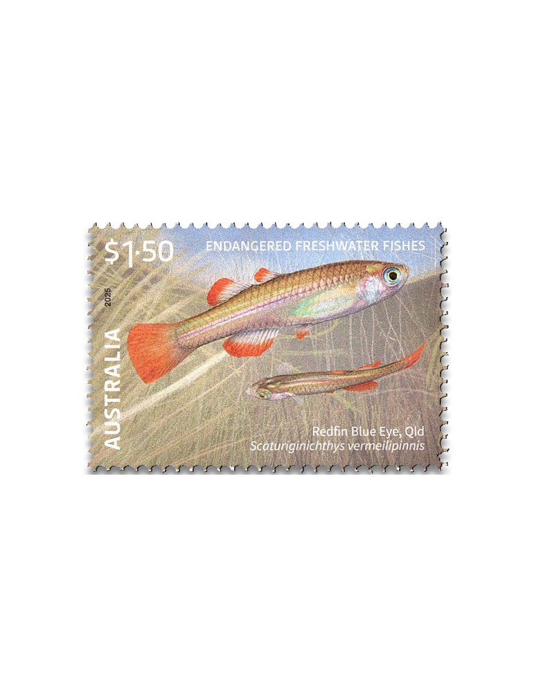 n° 5653/5655 - Timbre AUSTRALIE Poste