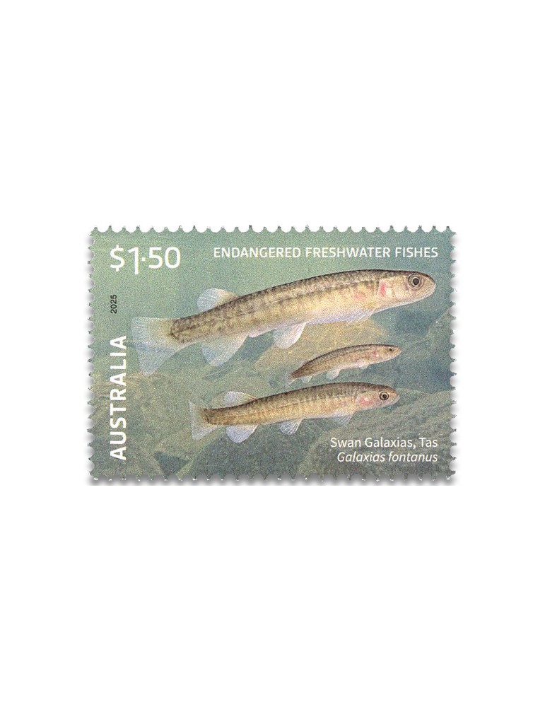 n° 5653/5655 - Timbre AUSTRALIE Poste