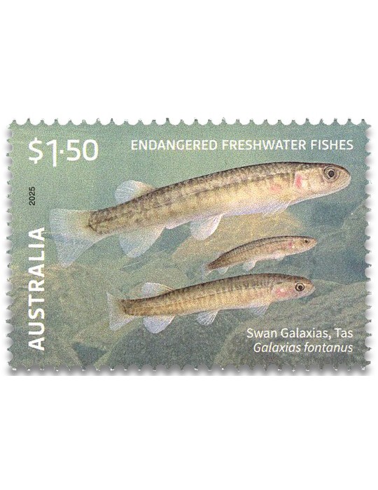 n° 5653/5655 - Timbre AUSTRALIE Poste