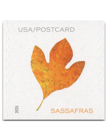 n° 5885a/5889a - Timbre ETATS-UNIS D'AMERIQUE Poste 2