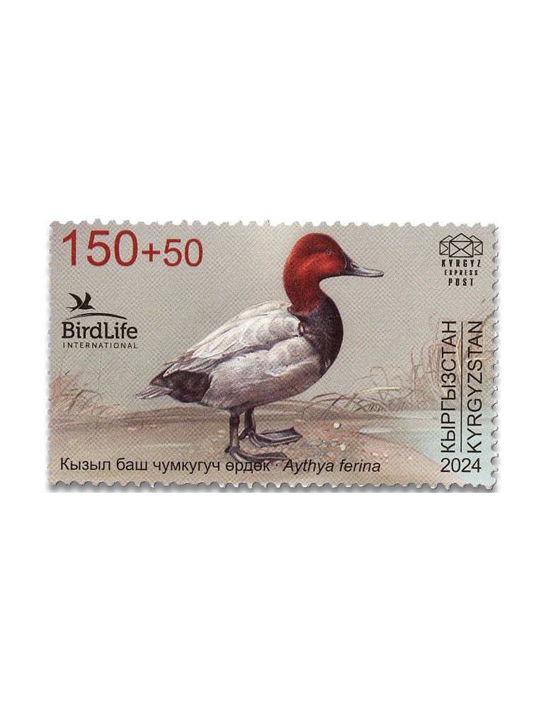 n° 202 - Timbre KIRGHIZISTAN (Kyrgyz Express Post) Poste