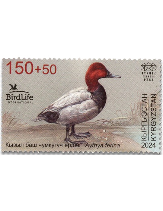 n° 202 - Timbre KIRGHIZISTAN (Kyrgyz Express Post) Poste
