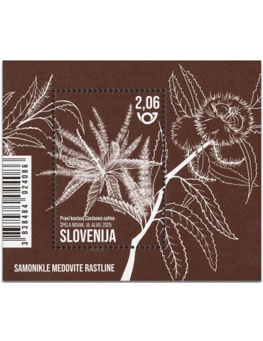 n° 163 - Timbre SLOVENIE Blocs et feuillets