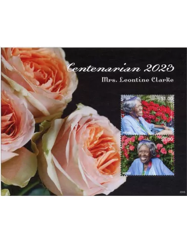 n° 439 - Timbre NEVIS Blocs et feuillets