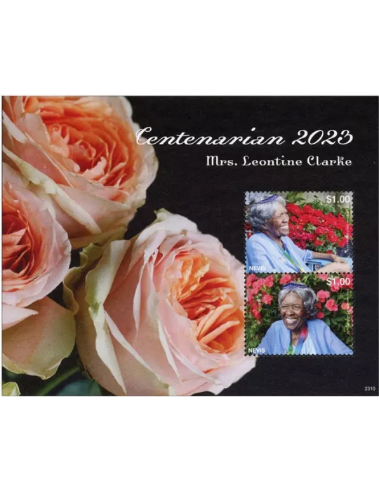 n° 439 - Timbre NEVIS Blocs et feuillets