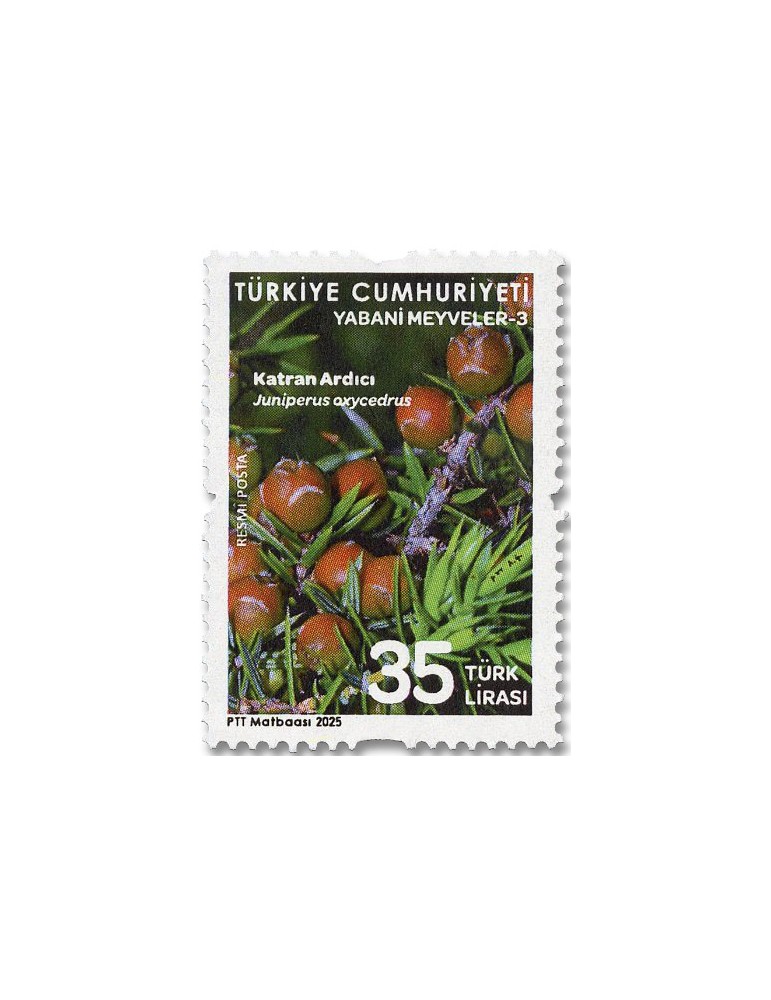 n° 458/462 - Timbre TURQUIE Timbres de service