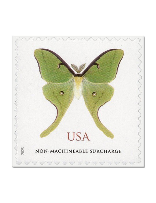 n° 5972 - Timbre ETATS-UNIS D'AMERIQUE Poste