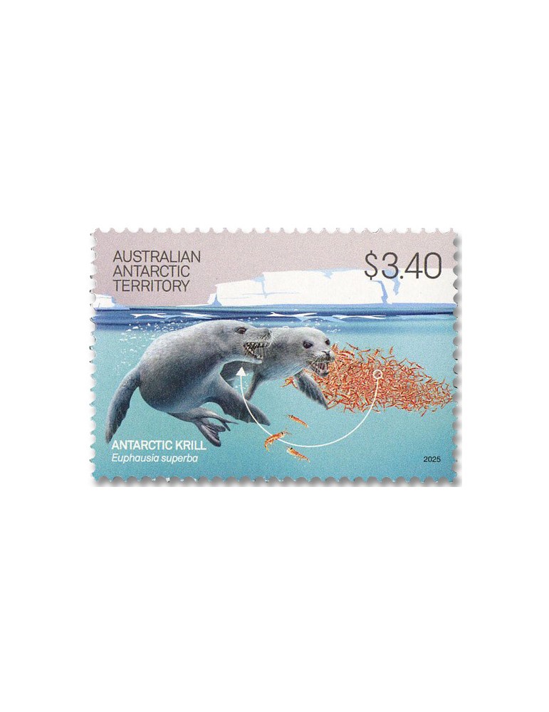 n° 309/312 - Timbre TERRITOIRE ANTARCTIQUE AUSTRALIEN Poste