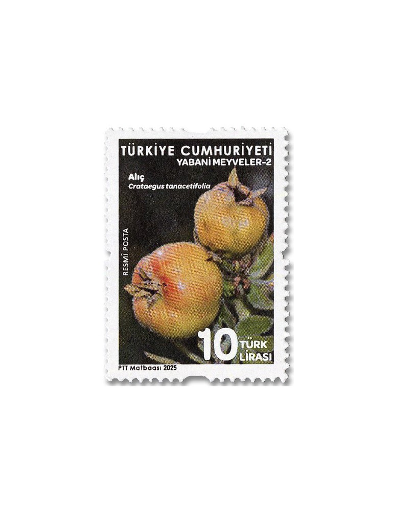 n° 456/457 - Timbre TURQUIE Timbres de service
