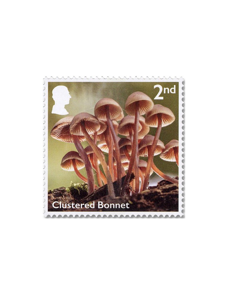 n° 6085/6094 - Timbre GRANDE-BRETAGNE Poste