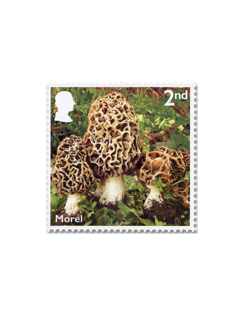 n° 6085/6094 - Timbre GRANDE-BRETAGNE Poste