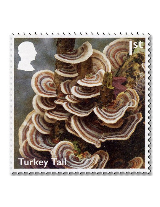 n° 6085/6094 - Timbre GRANDE-BRETAGNE Poste