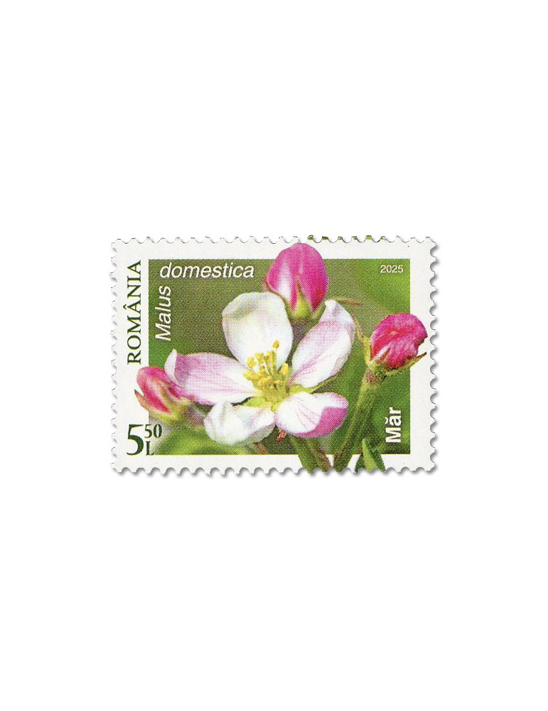 n° 7284/7287 - Timbre ROUMANIE Poste