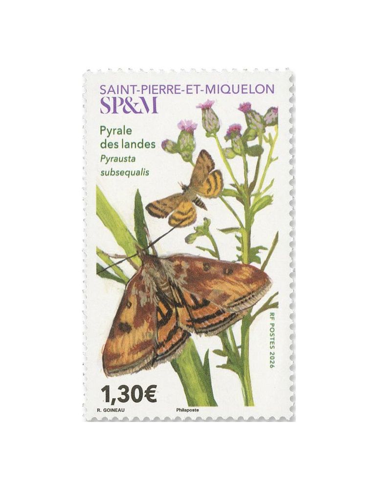 SPM : PYRALE DES LANDES (12_26_056)