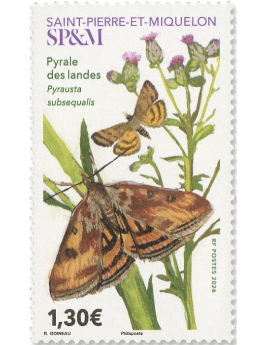 SPM : PYRALE DES LANDES (12_26_056)