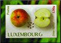 n° 1979/1988 - Timbre LUXEMBOURG Poste