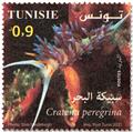 n° 1950/1953 - Timbre TUNISIE Poste