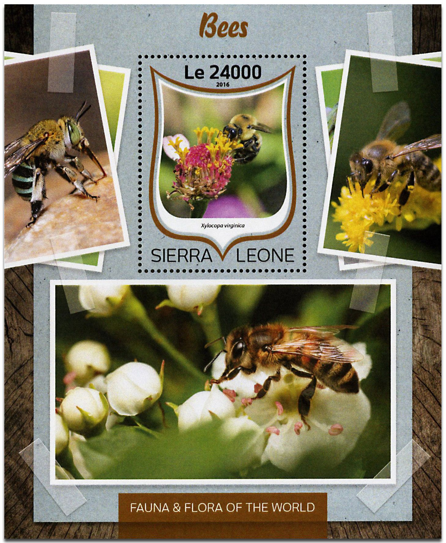 n° 1023 - Timbre SIERRA LEONE Blocs et feuillets n° 1023 - Timbre SIERRA LEONE Blocs et feuillets