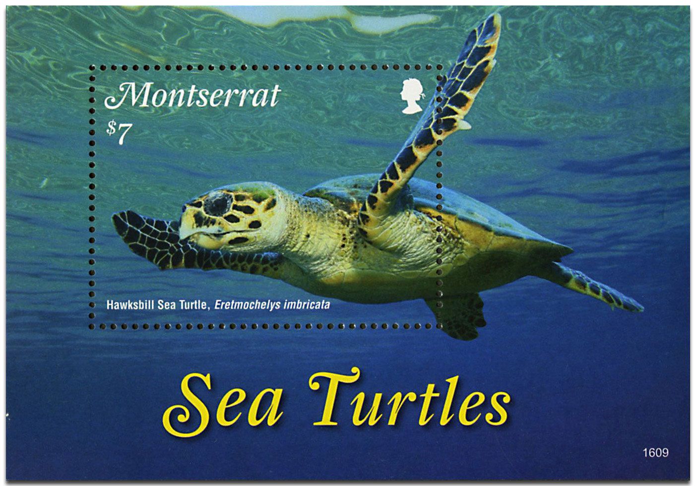 n° 172 - Timbre MONTSERRAT Blocs et feuillets n° 172 - Timbre MONTSERRAT Blocs et feuillets
