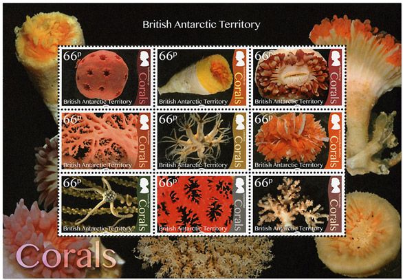 n° 25 - Timbre ANTARCTIQUE BRITANNIQUE Blocs et feuillets n° 25 - Timbre ANTARCTIQUE BRITANNIQUE Blocs et feuillets