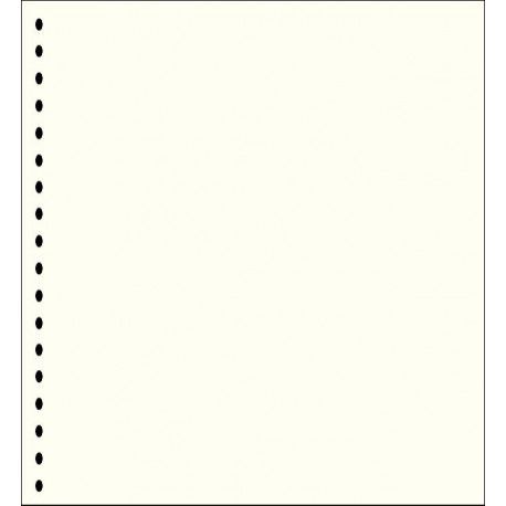 Feuilles neutres A4 quadrillé et liseré gris pâle (x40) LEUCHTTURM (PRIMUS A/4) Feuilles neutres A4 quadrillé et liseré gris pâle (x40) LEUCHTTURM (PRIMUS A/4)
