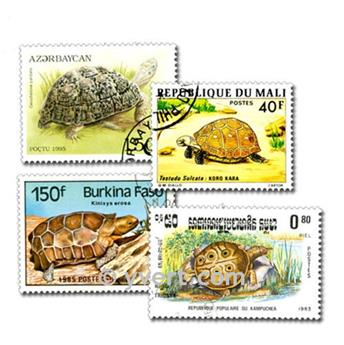 TURTLES: envelope of 50 stamps