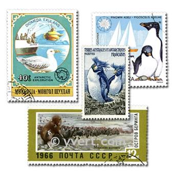 AUSTRÁLIA ANTÁRTICA : lote de 25 selos