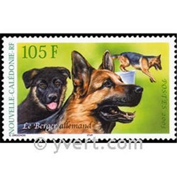 nr. 905 -  Stamp New Caledonia Mail