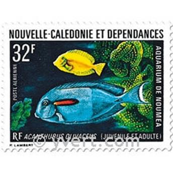 nr. 145 -  Stamp New Caledonia Air Mail